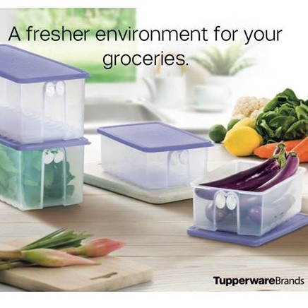 Fridge Solution by Fridge Smart Tupperware Original untuk simpan sayur dan buahan. FridgeSmart