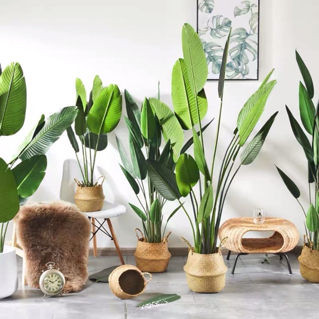 FREE SHIPPING Articifical Traveller Banana Tree Leaf FREE SHIPPING Articifical Traveller Banana Tree Leaf