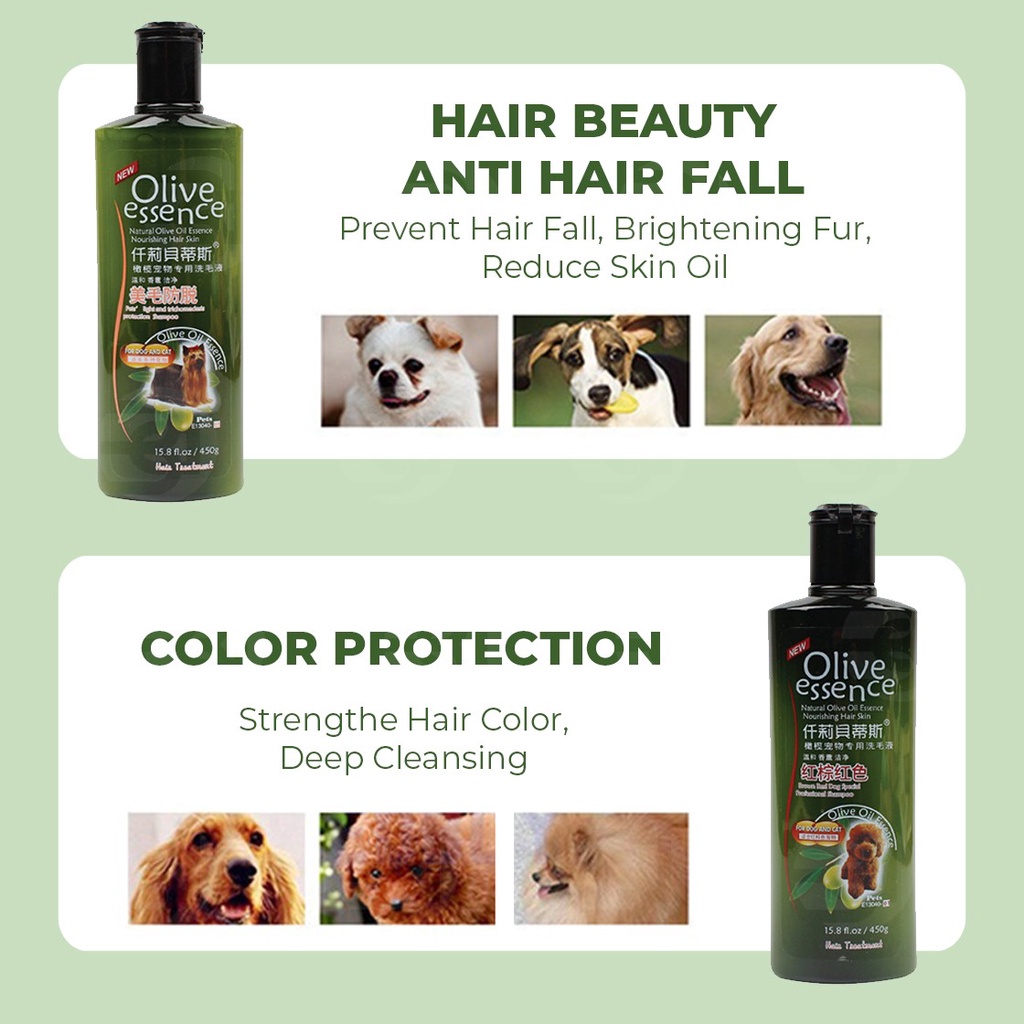 does olive oil help with dog dandruff