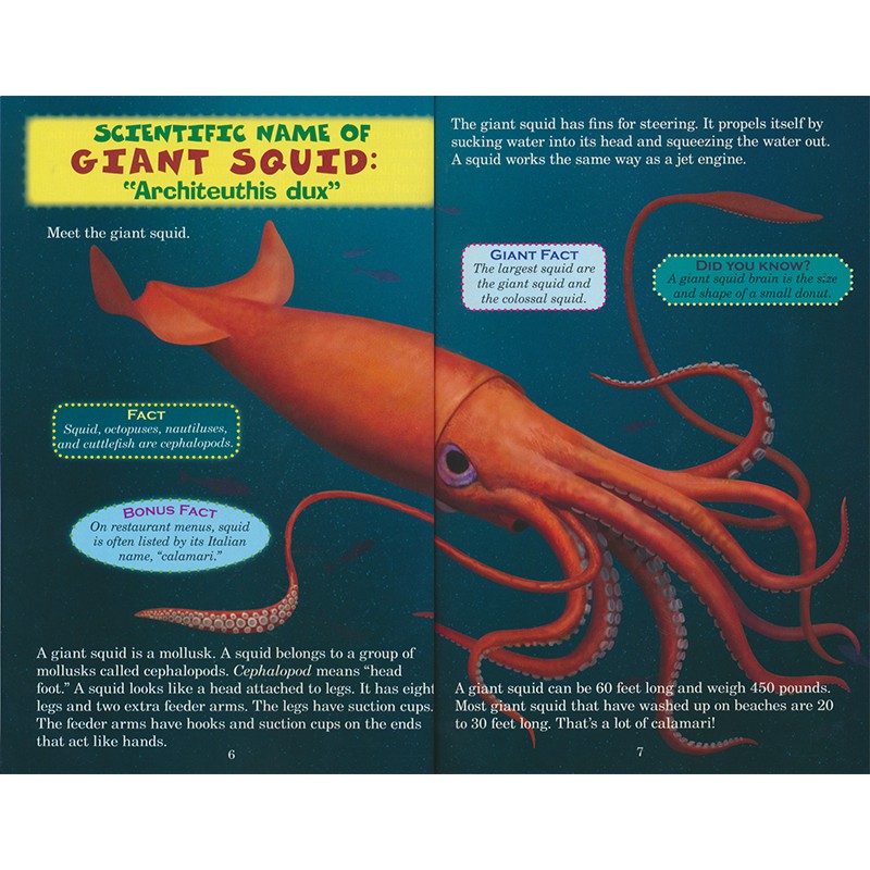 Scholastic Who Would Win Whale Vs Giant Squid Guess Who Will Win The Series Whales And Giant Octopuses Children S Englis Shopee Malaysia