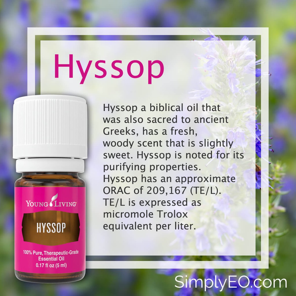 Cheapest Ready Stock Young Living Yl Hyssop Essential Oil Yl 5 Ml Shopee Malaysia