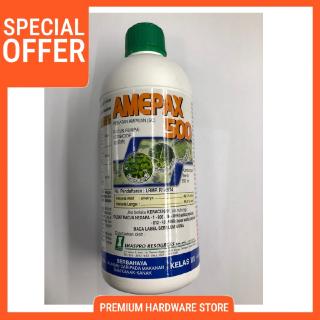 3 pokok Rumput SAMBAU(untk perubatan tradisional) | Shopee ...