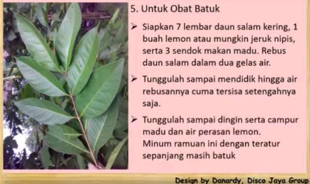 Daun Salam Beriyani Dried Bay Leaf India 35g Shopee Malaysia