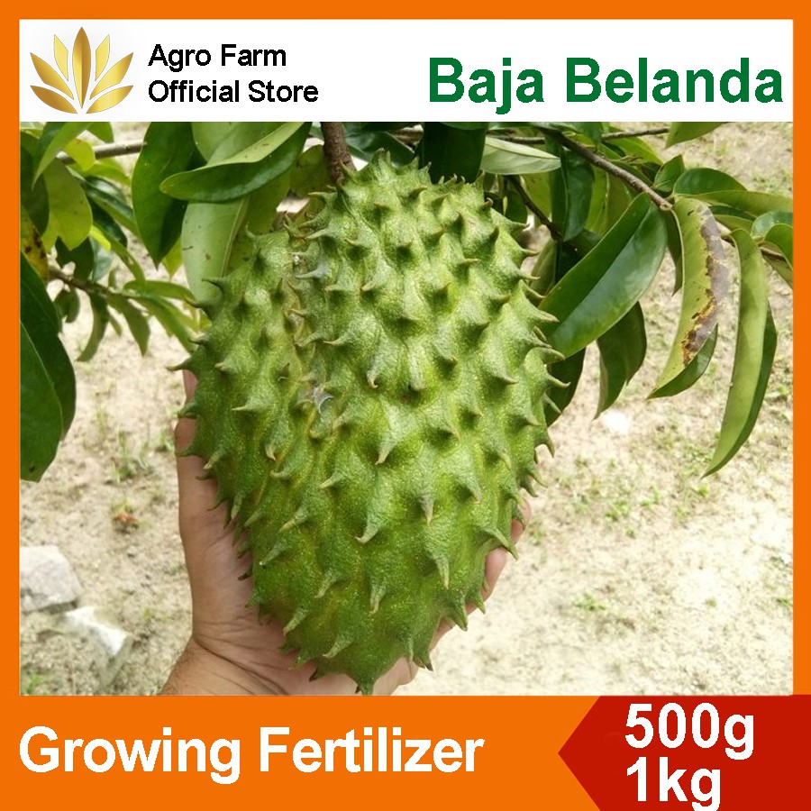 Buy Free Gift Baja 2in1 Baja Durian Belanda Baja Penggalak Buah Baja Buah Lebat Npk 13 13 21 Seetracker Malaysia