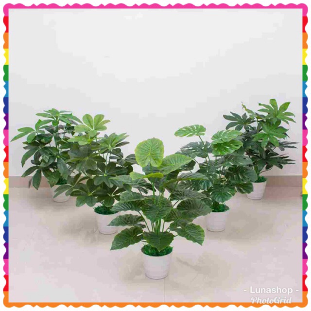 ARTIFICIAL PLANT POKOK HIASAN PLASTIK  READY STOCK 