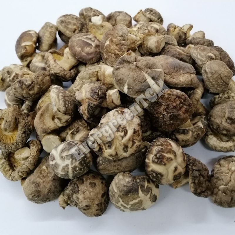 Dried Flower Mushroom 茶花菇 香菇100g Cendawan Kering Shopee Malaysia