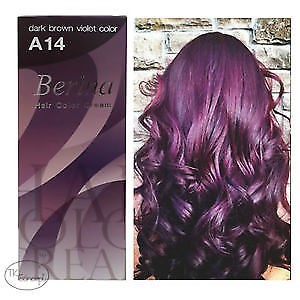 Berina Professional Permanent Hair Color Cream A14 Dark Brown Violet