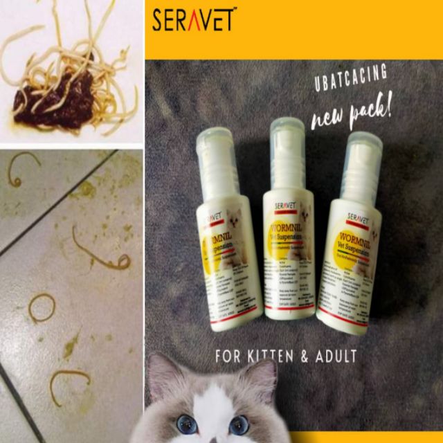 UBAT CACING KUCING *WORMNIL DEWORMER* (KEGUNAAN 1 BOTOL UNTUK 40+ EKOR