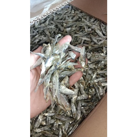 Buy Anak Ikan Tamban Halus 500gram Seetracker Malaysia