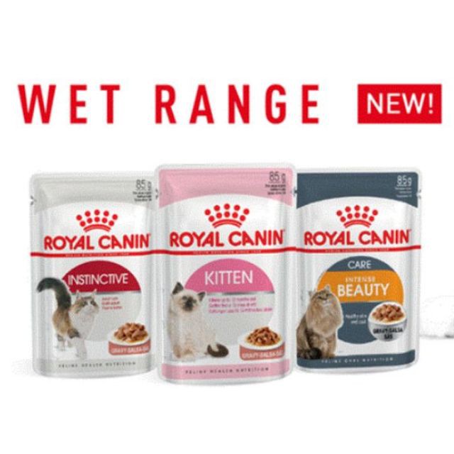 royal canin kitten wet food