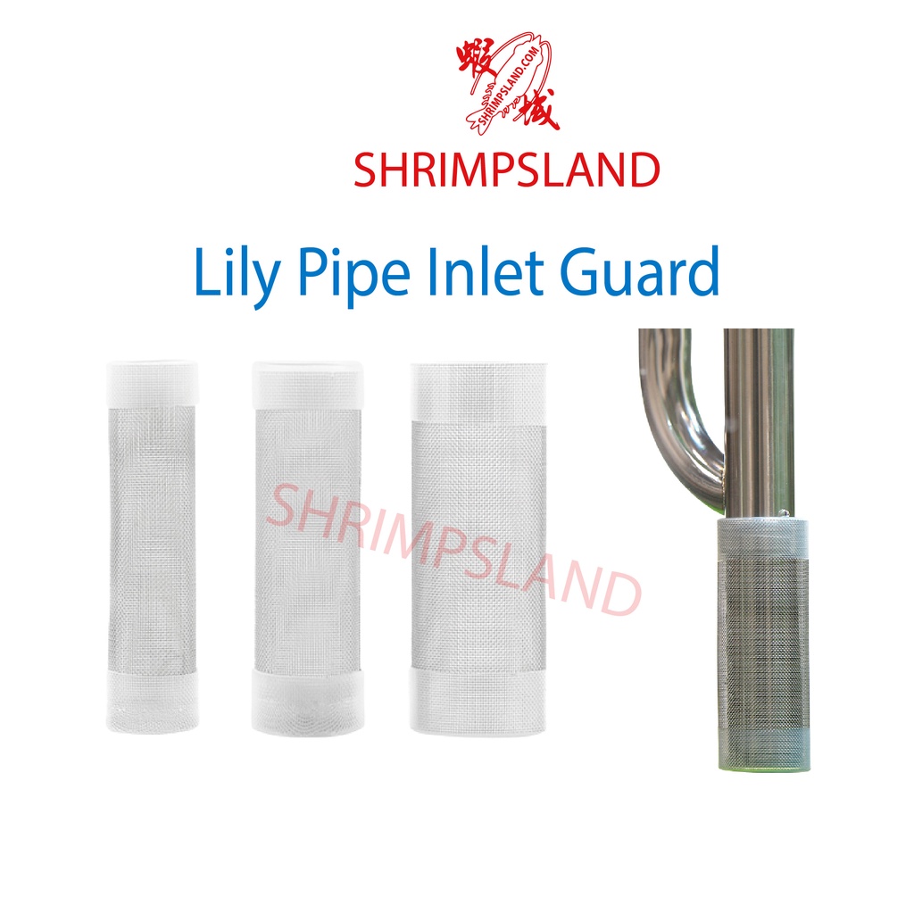 [SHRIMPSLAND] Aquarium Glass Stainless Steel Lily Pipe Inflow Inlet ...