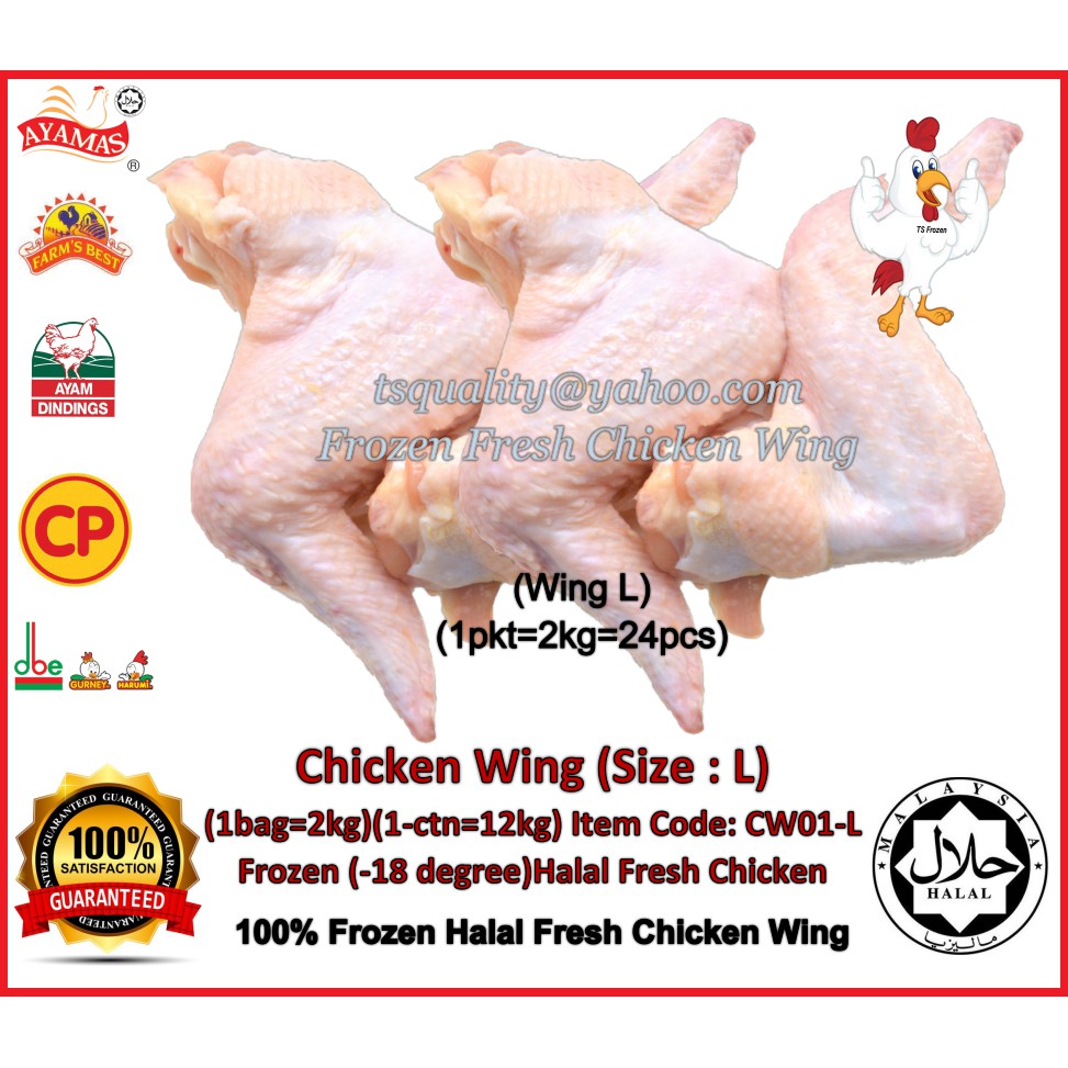 Chicken Wing (L) (CW01L) Halal Fresh Frozen (18 degree) L Size (1