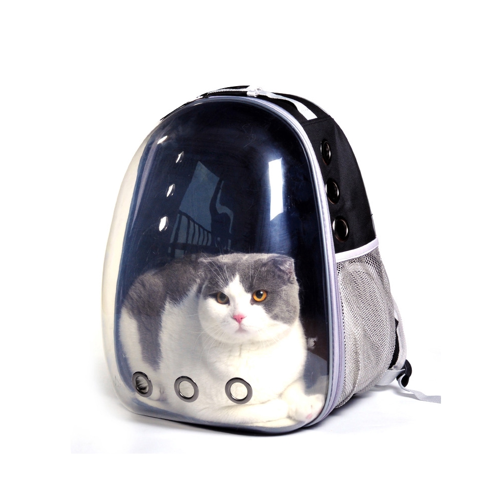 portable cat backpack