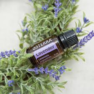 100% Original doTTERA Combo Set - Lavender Essential Oil (15ml ...