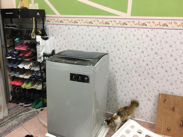 Sharp 7KG Fully Auto Washing Machine Washer ESX705 ES718X