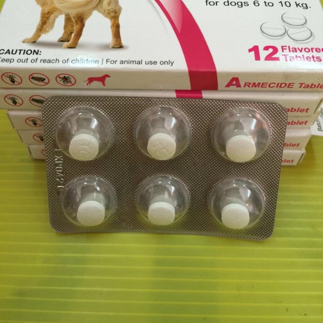 4-in-1 Ubat Kutu kucing, Kurap, Cacing, Earmites,  Shopee 