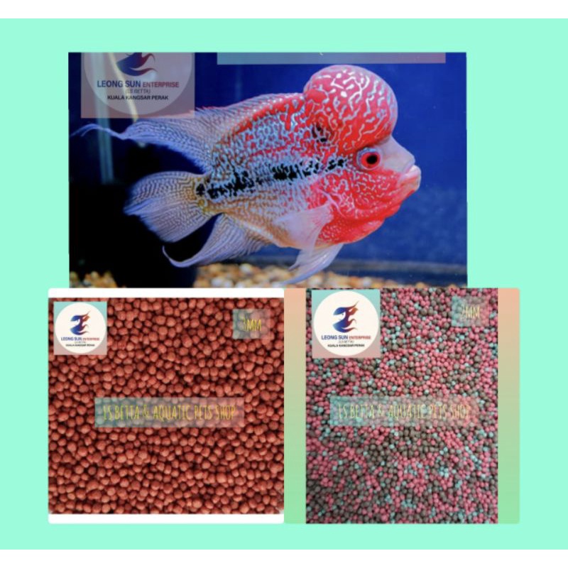 Ls flowerhorn food/pellet flowerhorn (100G) Shopee Malaysia