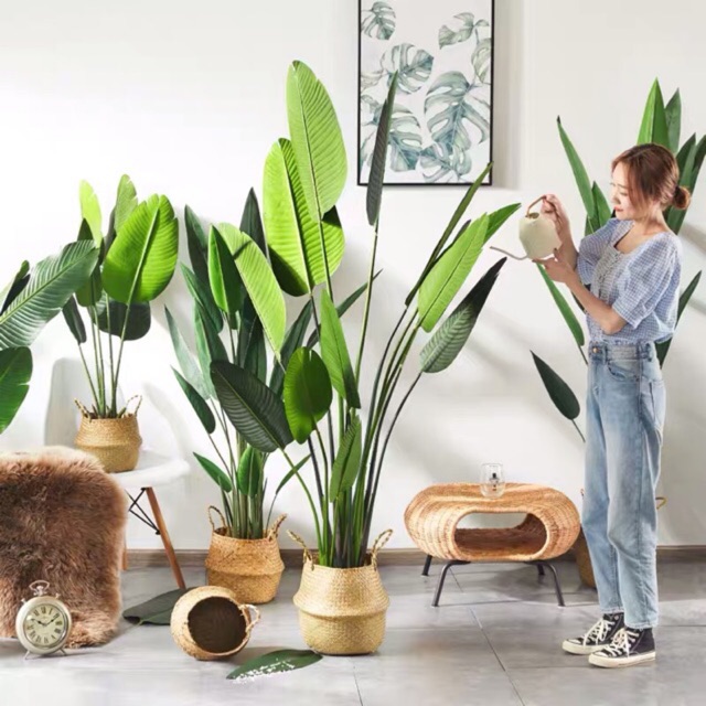 Artificial Banana Traveller Tree Leaf Nordic Leaf Pokok  