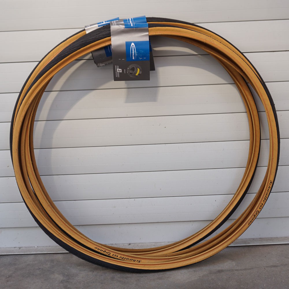 schwalbe lugano
