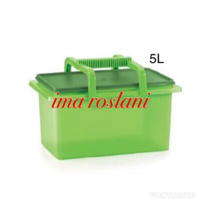 Tupperware Buddy Keeper with Handle 5L