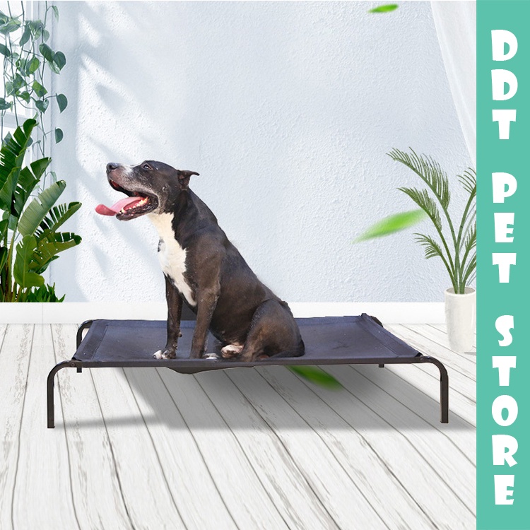 Removable and Washable Pet Camp Bed Dog Steel Frame Bed Breathable