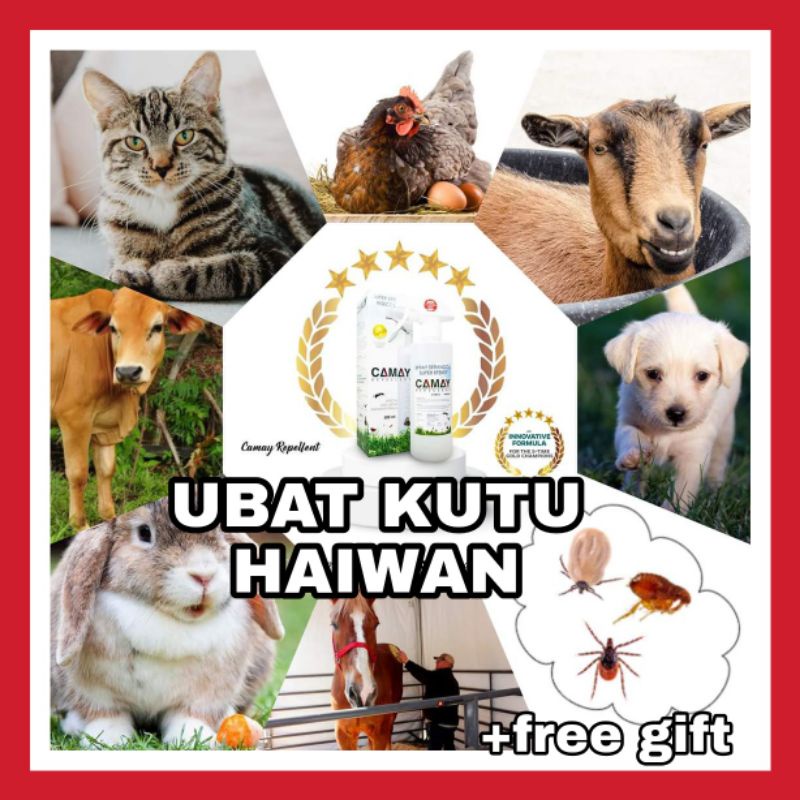 Buy 🎁+SPRAY UBAT BASMI KURAP KUTU KUCING , ANJING, ARNAB  TIADA 