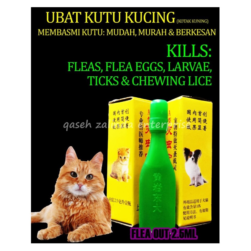 Ubat Kutu Kucing Flea - Lagu 24