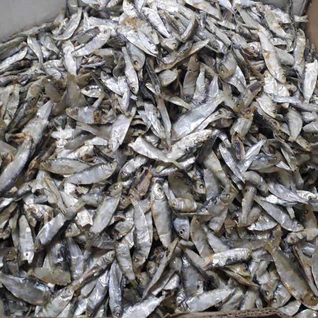 Ikan Bilis Tamban Mantap Saiz Sedang Ada Besar Ada Harga Murah