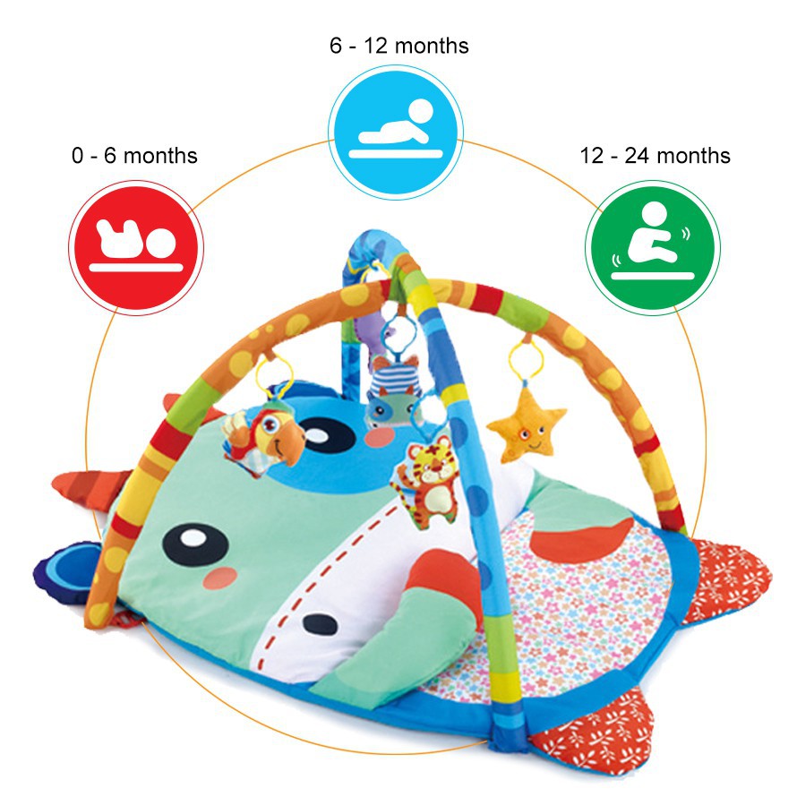 baby play mat 6 months