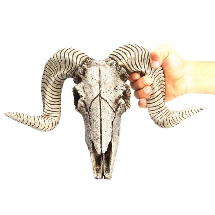 Resin Skeleton Ram Sheep Head Skull Head Wall Hanging 3d Animal