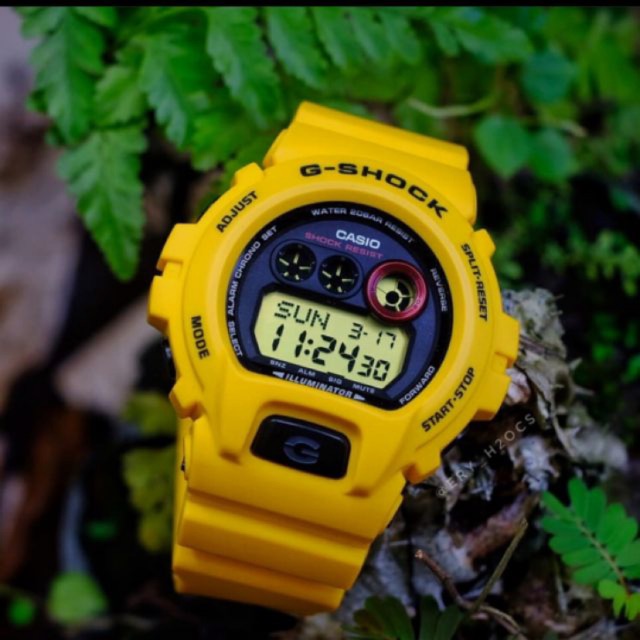 dw6900 mango