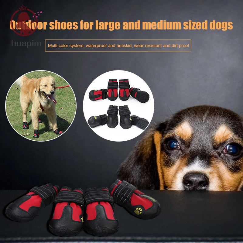 dog shoes medium