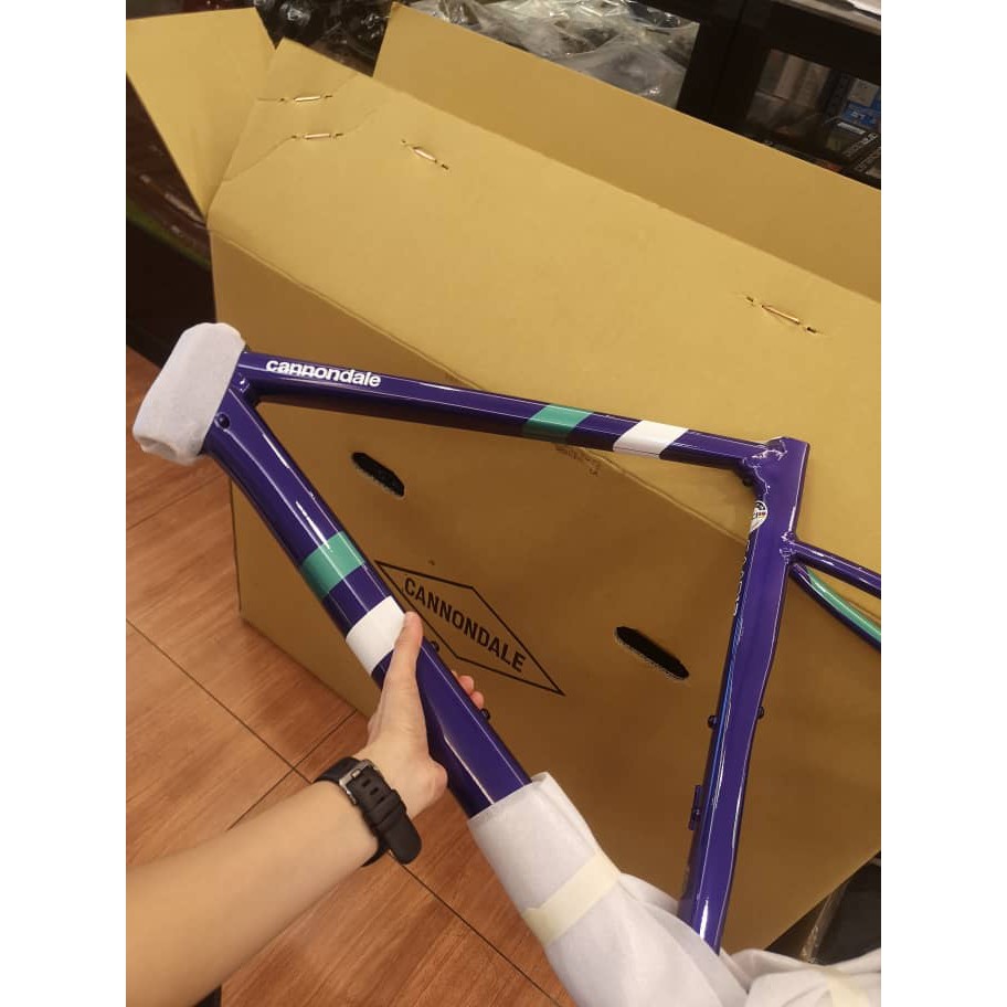 cannondale caad13 frameset