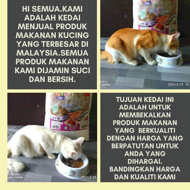 Makanan Kucing Murah AliCat ( Hair u0026 Skin Care ) 10kg  Shopee 