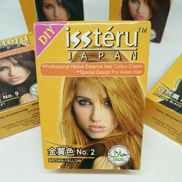 Fast Ship Diy Rambut Halal Dye Rambut Diy Rambut Issteru Hair Diy Shopee Malaysia