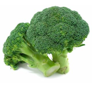 sunflower_11, Online Shop | Shopee Malaysia