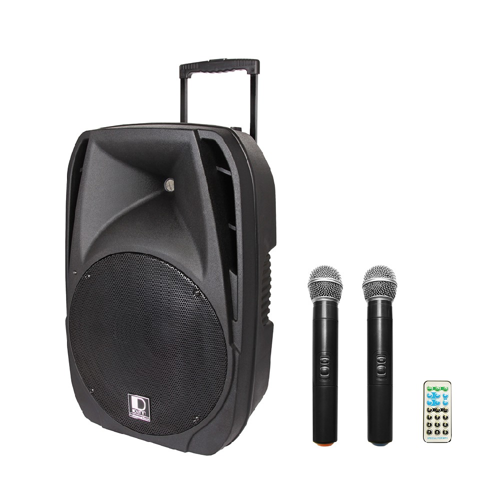 portable pa system