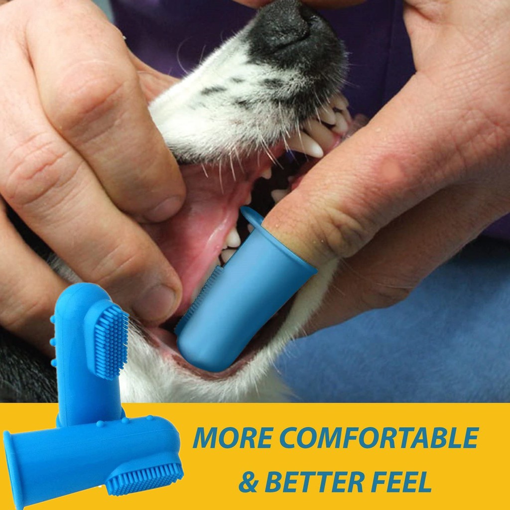 cat finger toothbrush