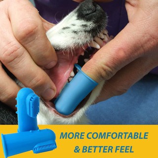 finger brush for cats