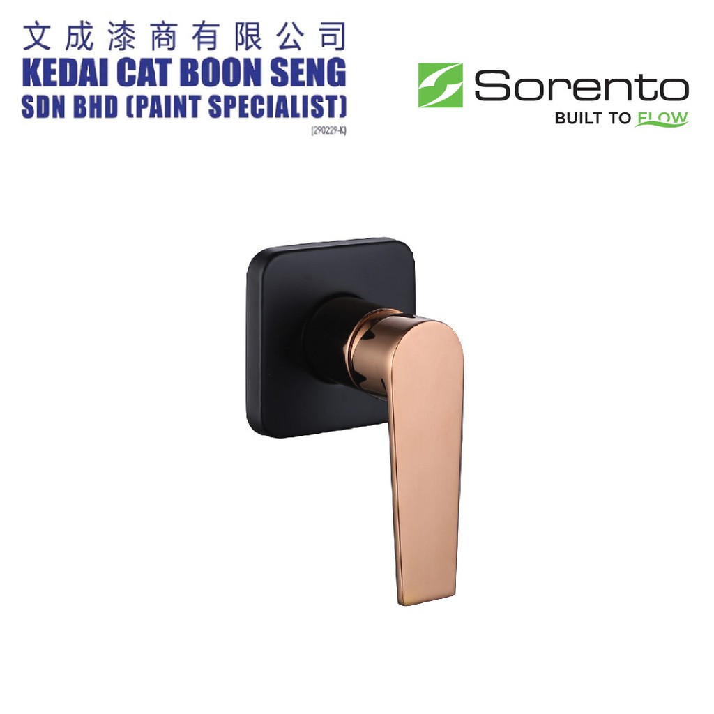Sorento Srtwt8248 Rg Bathroom Concealed Shower Cold Tap Water Tap Basin Faucet Rose Gold Matt Black Shopee Malaysia