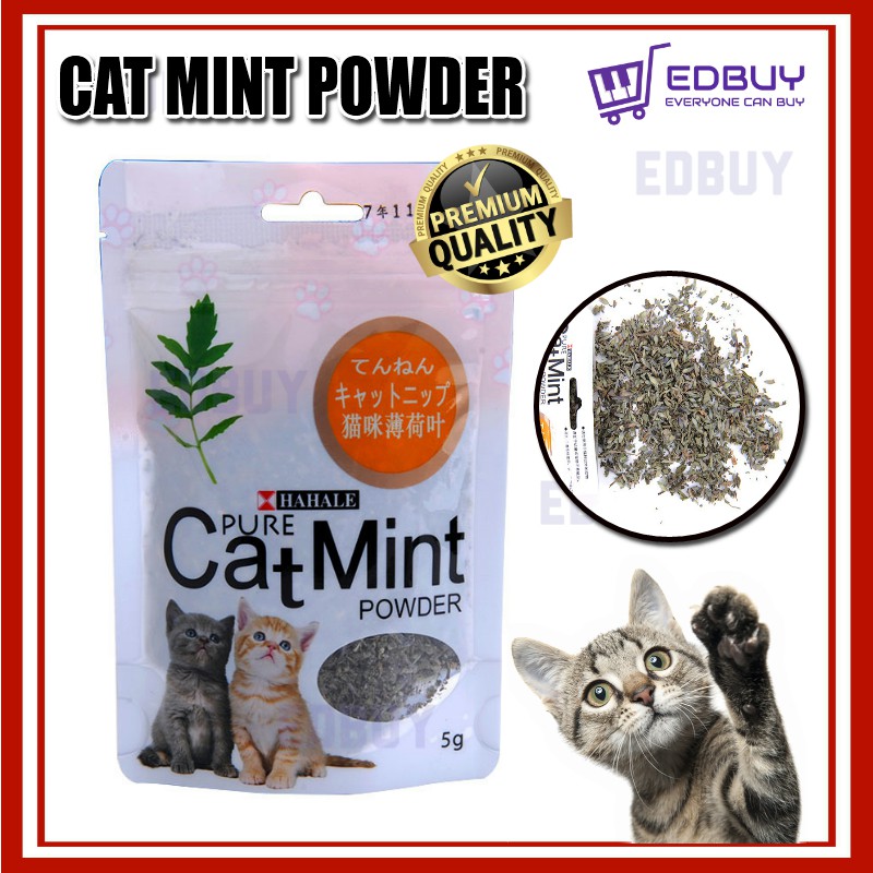 Pure Cat Mint Powder (5G) Organic Premium Catnip Shopee Malaysia