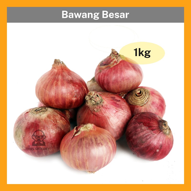 Bawang besar in english