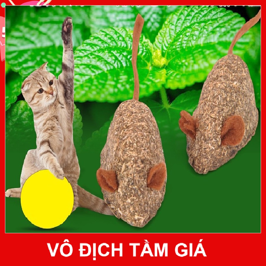 CANIP MOUSE FOR CATS - CAT MINT - REMOVES IN THE INSTRUCTIONS AND HELPS DIGESTIVE FOR CATS CATNIP CAT GRASS