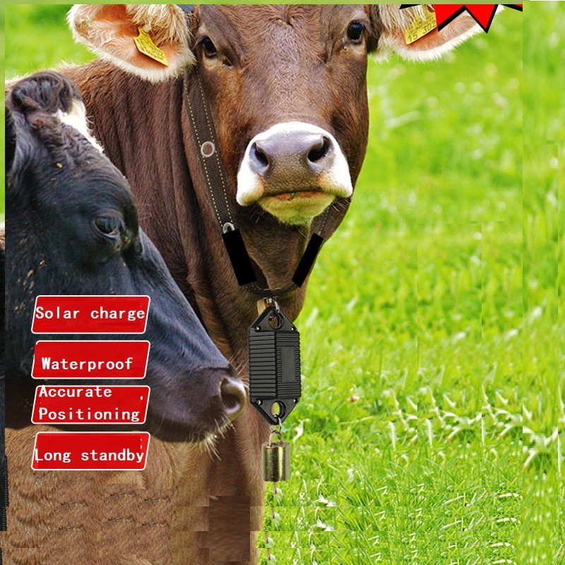 GPS Tracker Big Battery 20000mAh Solar Collar For Cow Sheep Cattle Horse Camel hunting dog pigeon Animal gps tracking RYDB39