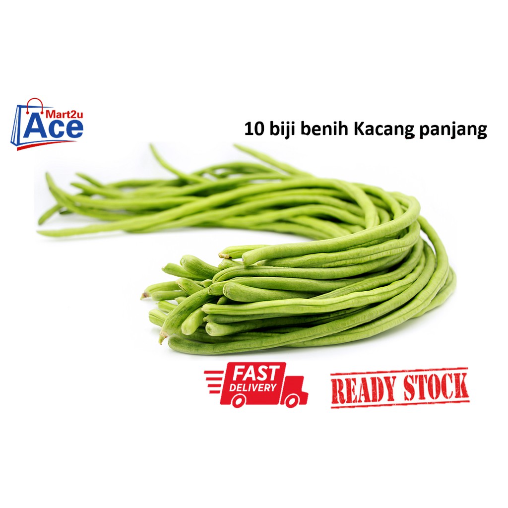 Isi 500gram Bibit Kacang Panjang Metro Super Benih Kacang Panjang Unggul Sktr 3500 Biji Shopee Indonesia