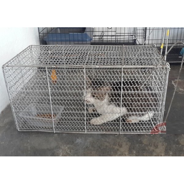 Perangkap Sangkar Tikus Musang Tupai Kucing Cat Trap Cage mouse Weasel  squirrel
