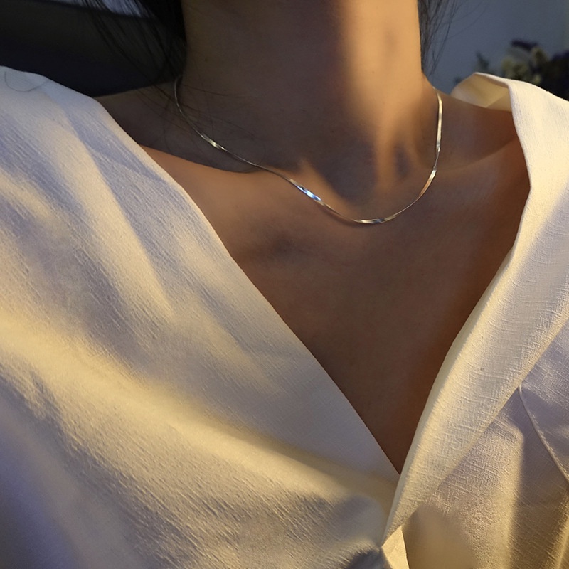 925 Sterling Silver Simple Snake Bones Chain Women's Ins Trendy Summer Necklace Simple Necklace