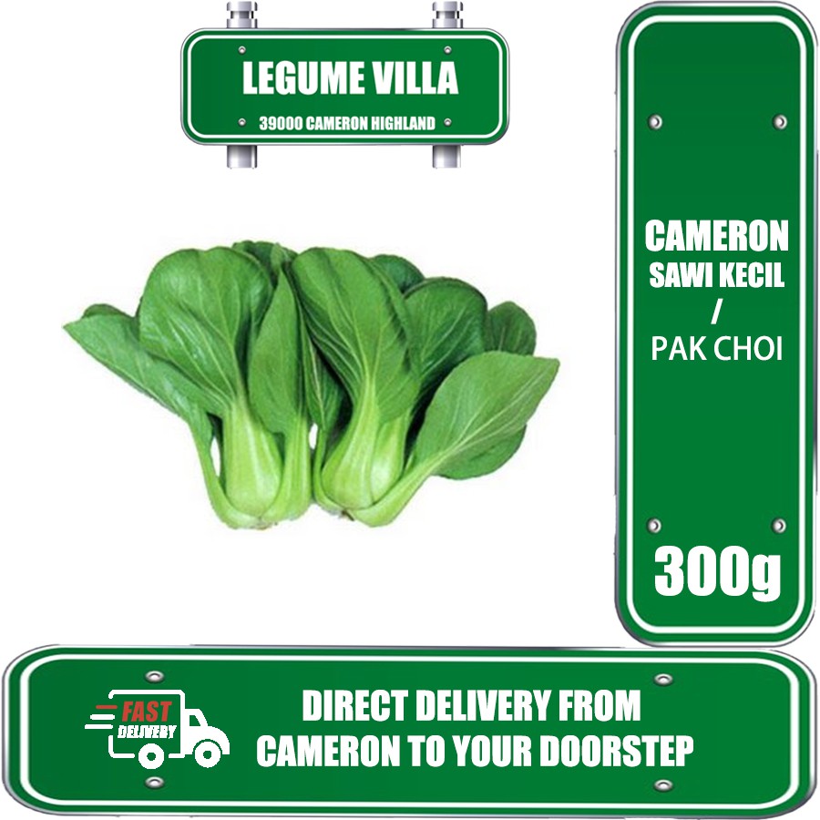 Buy 300g Sawi Kecil 小白菜 Daily Fresh Pick Vegetable From Cameron Legume Villa Seetracker Malaysia