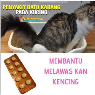 UBAT BATU KARANG KUCING DAN ANJING  Shopee Malaysia