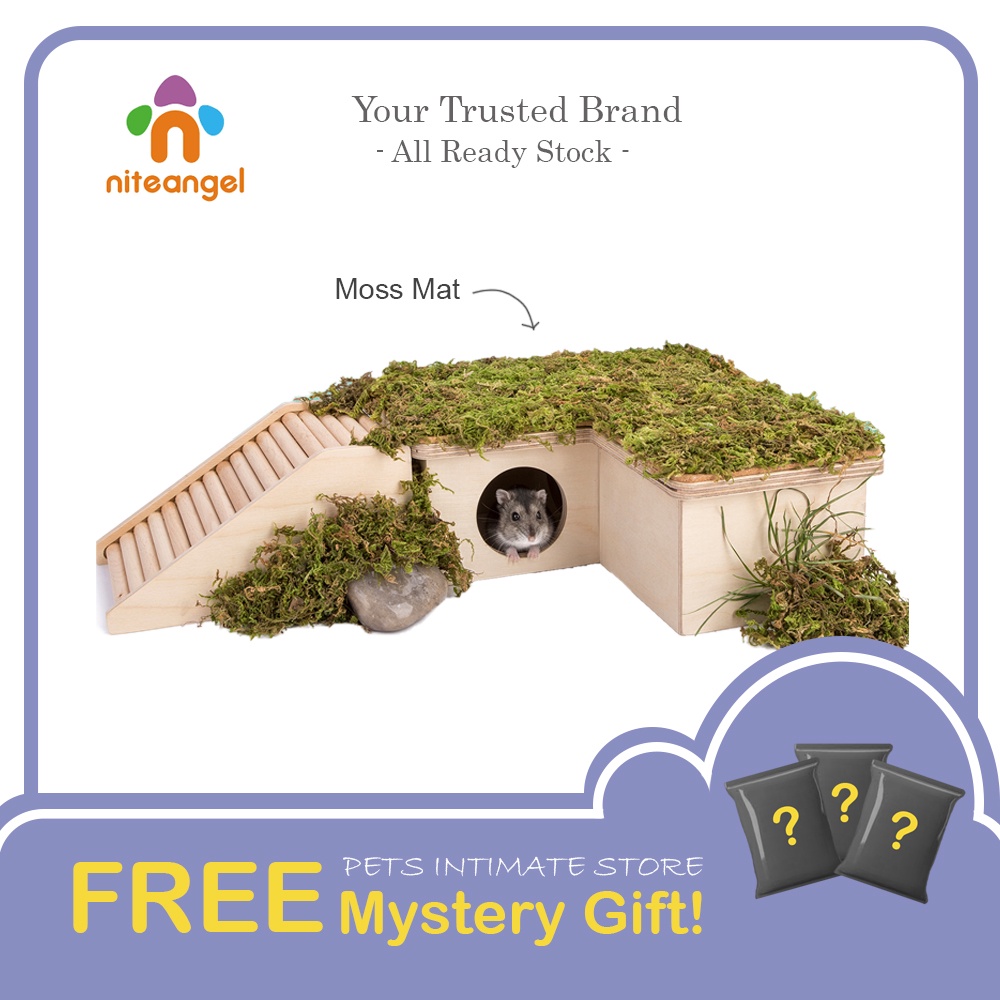 (READY STOCK) Niteangel Hamster‘s Hideout Natural Moss Mat 艾特仓鼠森林苔藓垫子